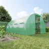Serre de Jardin Tunnel 12m² - bache armée - avec fenêtres latérales et porte zipée Surface Serre de Jardin Tunnel 12m² - bache armée - avec fenêtres latérales et porte zipée Surface