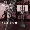 Panier de basket 2.30m a 3.05m - Platinium Panier de basket 2.30m a 3.05m - Platinium