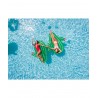 Matelas Gonflable d'Eau Géant, Ultra Confort, pour Piscine & Plage - Cactus - Longueur 120 cm Matelas Gonflable d'Eau Géant, Ultra Confort, pour Piscine & Plage - Cactus - Longueur 120 cm