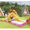 Château Aquatique Gonflable - Party Parc - 4,2m - Aire de jeux avec escalade, tobbogan et piscine - souffleur et sac de rangemen Château Aquatique Gonflable - Party Parc - 4,2m - Aire de jeux avec escalade, tobbogan et piscine - souffleur et sac de rangemen