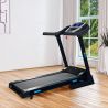 Tapis de Course Pliable RSP - 16km/h - 2,0 Cv - 12 Programmes, Inclinaison Motorisée 15%, Ecran LCD, Prise MP3 et Haut-Parleurs Tapis de Course Pliable RSP - 16km/h - 2,0 Cv - 12 Programmes, Inclinaison Motorisée 15%, Ecran LCD, Prise MP3 et Haut-Parleurs