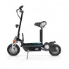 Trottinette électrique 800W Batterie 36V12Ah - Roue 6,5" Norme CE - Evo 800 avec feux Av/Ar Trottinette électrique 800W Batterie 36V12Ah - Roue 6,5" Norme CE - Evo 800 avec feux Av/Ar